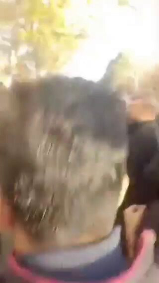 lPHS6Fp EGGu1ihq.jpg