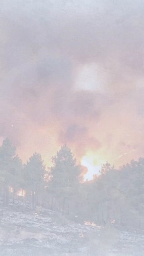 hSPK0fEYqlne0 aY.jpg