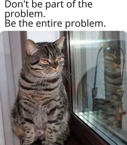 540616478 756503953669958 6122025108473579955 n.jpg