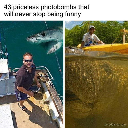 vhSv0yt.jpg