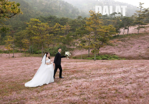 z7332800356106 1aa347e23d809c169f4a01d663914a8b