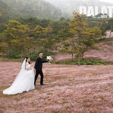 z7332800356106 1aa347e23d809c169f4a01d663914a8b