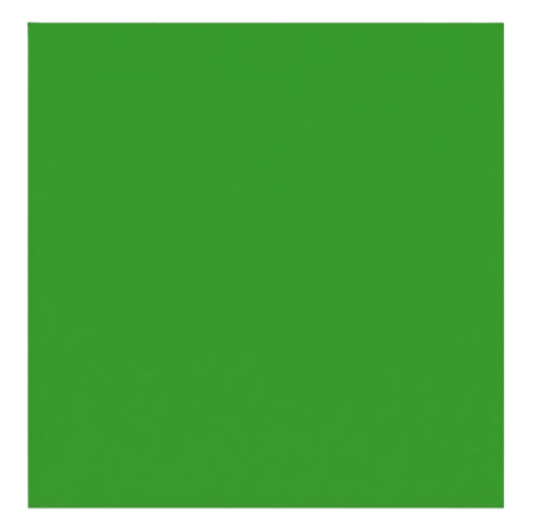 lapangan.png