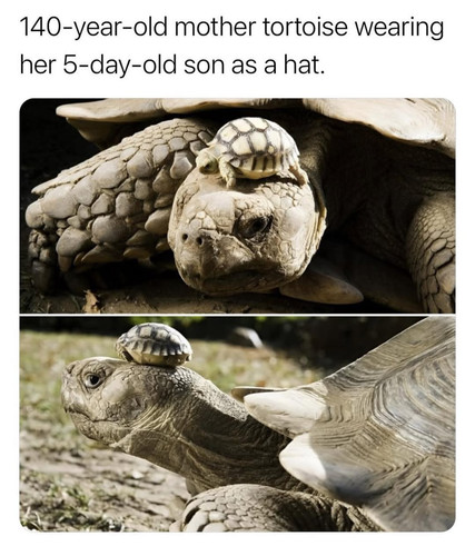 598245667 1438261477662303 975029480012354241 n.jpg