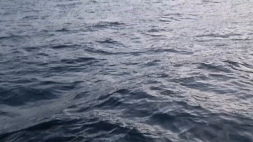 OITy gvo3fdP6Tcd.jpg