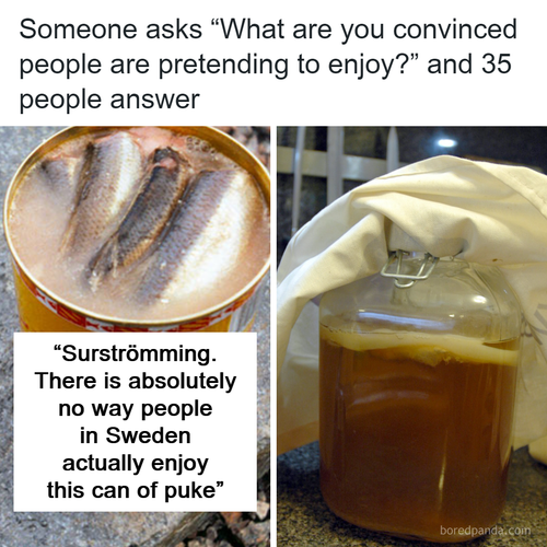 things people pretend to enjoy.png