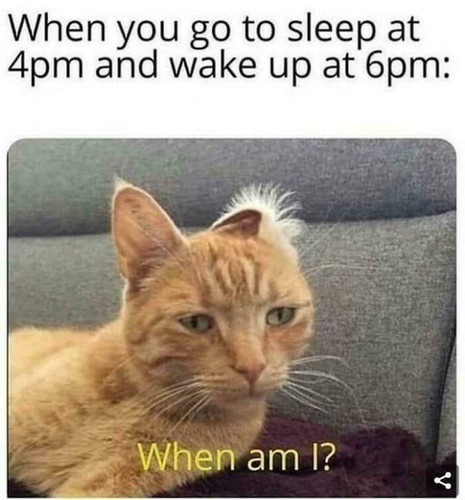 bfc48ecd ea4a 4778 89e9 026da682b04a.jpg