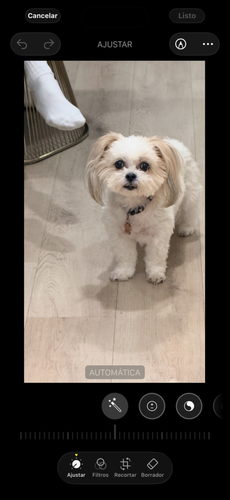 22de146d 492c 4420 9bb4 a3d167a019fe.png