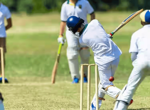 Cheap cricket coaching birmingham.png