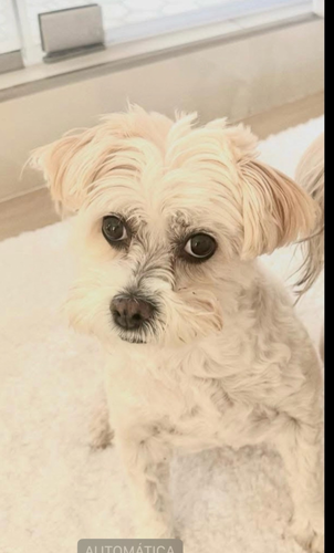 5958b801 8ffa 4dde 88ef ba3257a7b0fd.png