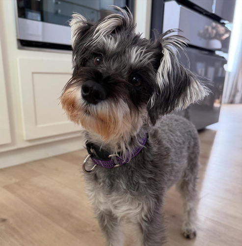 91474d9e 6564 4001 8763 276397faca3f.png