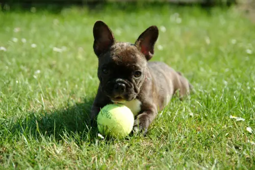 yanimljivosti pic.webp