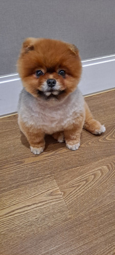 KakaoTalk 20251212 091538894 08.jpg