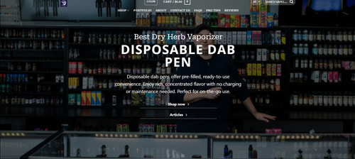 FireShot Capture 169 - Disposable dab pen - [vaporsummit.com].jpg