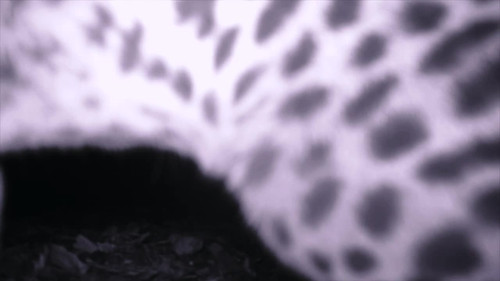 frame3.jpg