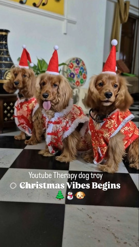 587923421 18547573390024388 8494738701703291138 n.jpg