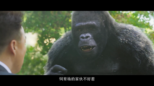 Mr.Zoo.The.Missing.VIP.2020.1080p.CATCHPLAY.WEB DL.AAC2.0.H.264 MWeb.mkv 20251217 014737.169.png