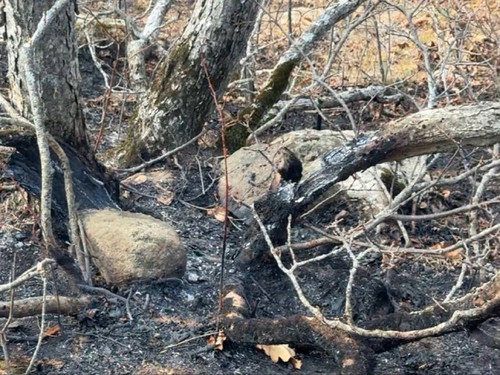 LxWnyHcPw4K912Wdtd7JYMaC22PAvCIunsbbZ2wLoTxk0kfy0G6jJlDR2lvjFb7T3zc2RFy9mLspzNkGq9 zkyfMDUM5L2u0Me6I.jpg