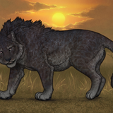 IMG 9075.png