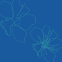 d84a30dbda8f.png