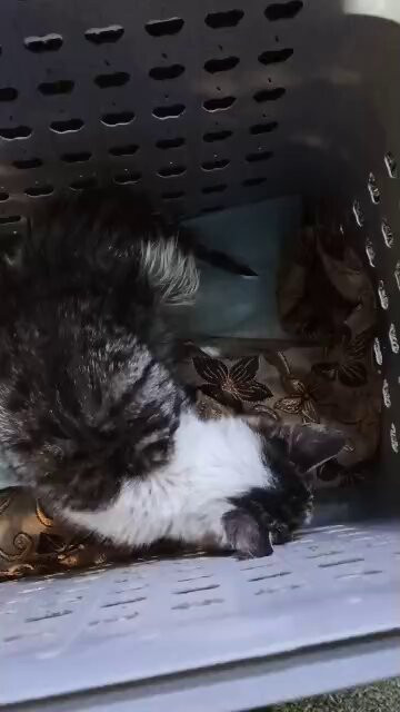 Yf t3T0n6F HDoq3.jpg