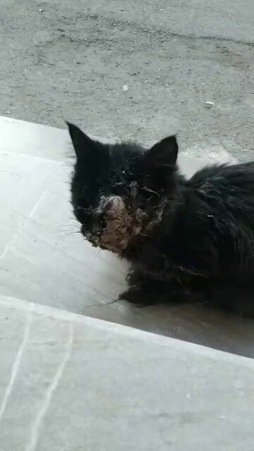 Eiwm3pygy g6qw2m.jpg