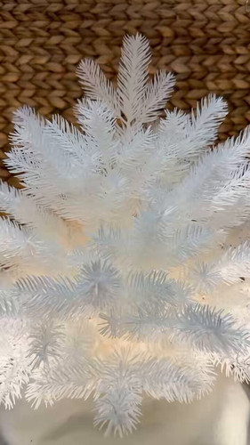 BUxbvxO9 y6DO4Bb.jpg