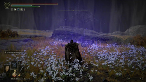 tP26 E2tocHM3 5U.jpg