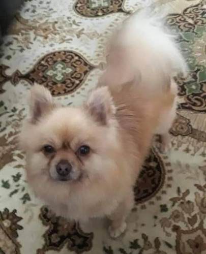 Epl2 qsXUAAGgfh?format=jpg.jpg