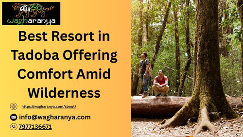 Best Resort in Tadoba Offering Comfort Amid Wilderness  Description:.jpg