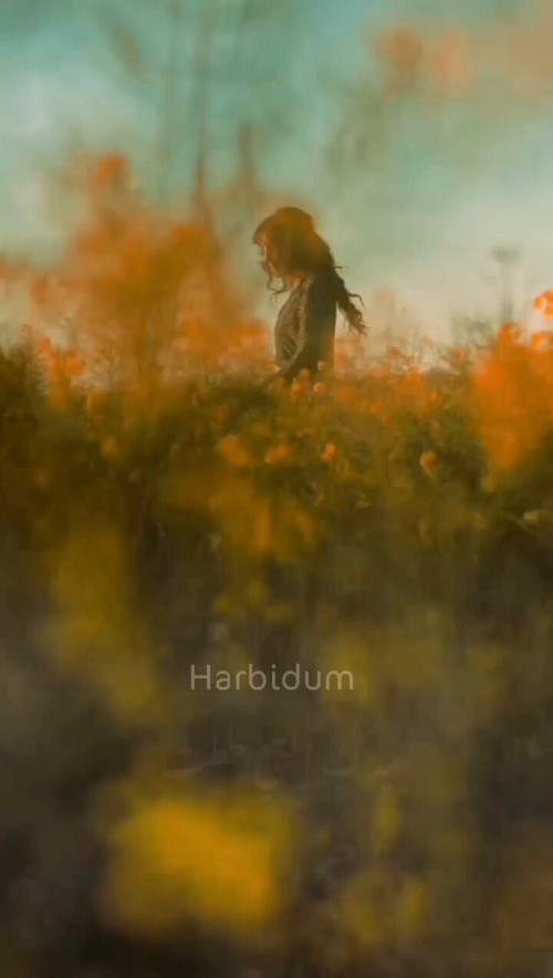 Pdw1Oe v3slzHMQ5.jpg