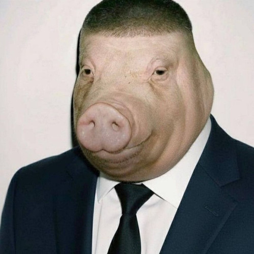 file 21.jpg