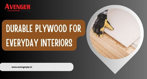 Best Plywood for Interior – What You Should Know Before Choosing.jpg