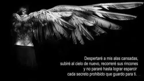 da798d4df50db449775ec5109c1c4773.webp