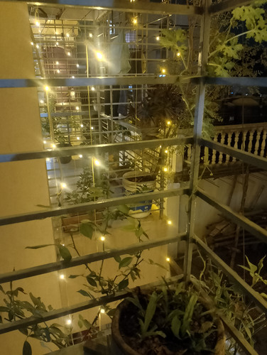 1000040165.jpg