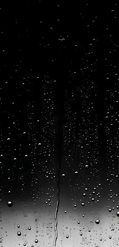 Image 3503403404363511.jpg