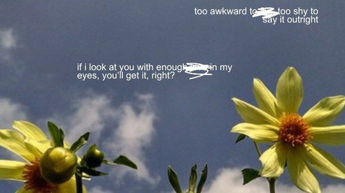 IMG 20251217 194632 219.jpg