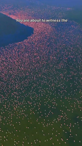 6SM jyeWOd8uOCk9.jpg