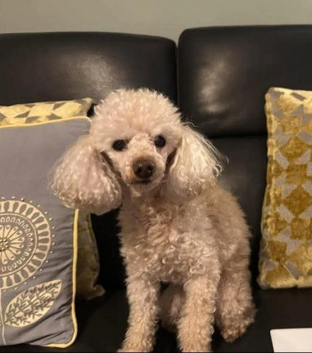 G8NplmoXUAsI jI?format=jpg.jpg