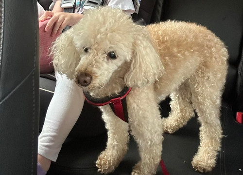 G8NpllDXwAE nwD?format=jpg.jpg