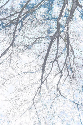 Camera XHS 17647849444221040g2sg31kahqfi534dg5nolgn208211n7dp1b0.jpg