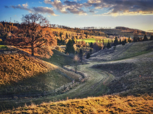 577452410 1144390641216246 5538016998181563981 n.jpg