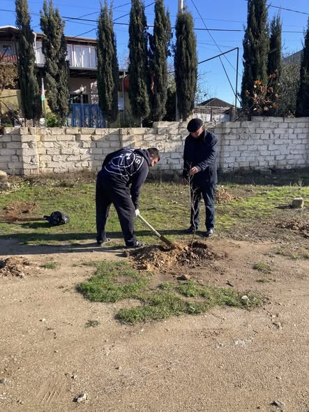 599052788 25432595909729995 8553648769973303118 n.jpg?stp=cp6 dst jpg s590x590 tt6& nc cat=105&ccb=1.jpg