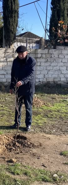 599933008 25432581476398105 6805895814627664250 n.jpg?stp=cp6 dst jpg s590x590 tt6& nc cat=108&ccb=1.jpg