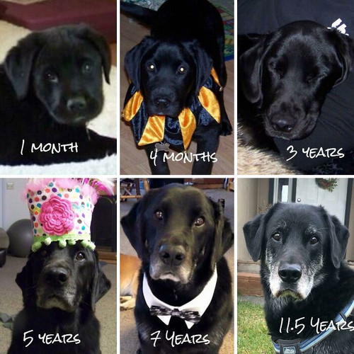 309d4056 9f09 4c2c 9330 a1962d504233.jpg