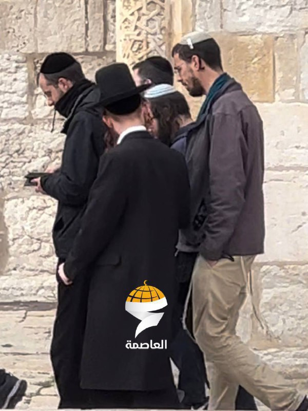 بحماية من قوات الاحتلال، 210 مستوطنين اقتحموا المسجد الأقصى المبارك في فترة الاقتحامات الصباحية....