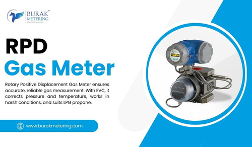 RPD Gas Meter.jpg