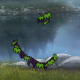 Capture.png