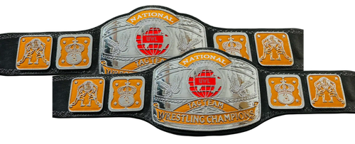 Ntltgtm 044 055 55 (1) (1) (8) (1).png