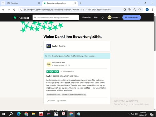Trustpilo review.png